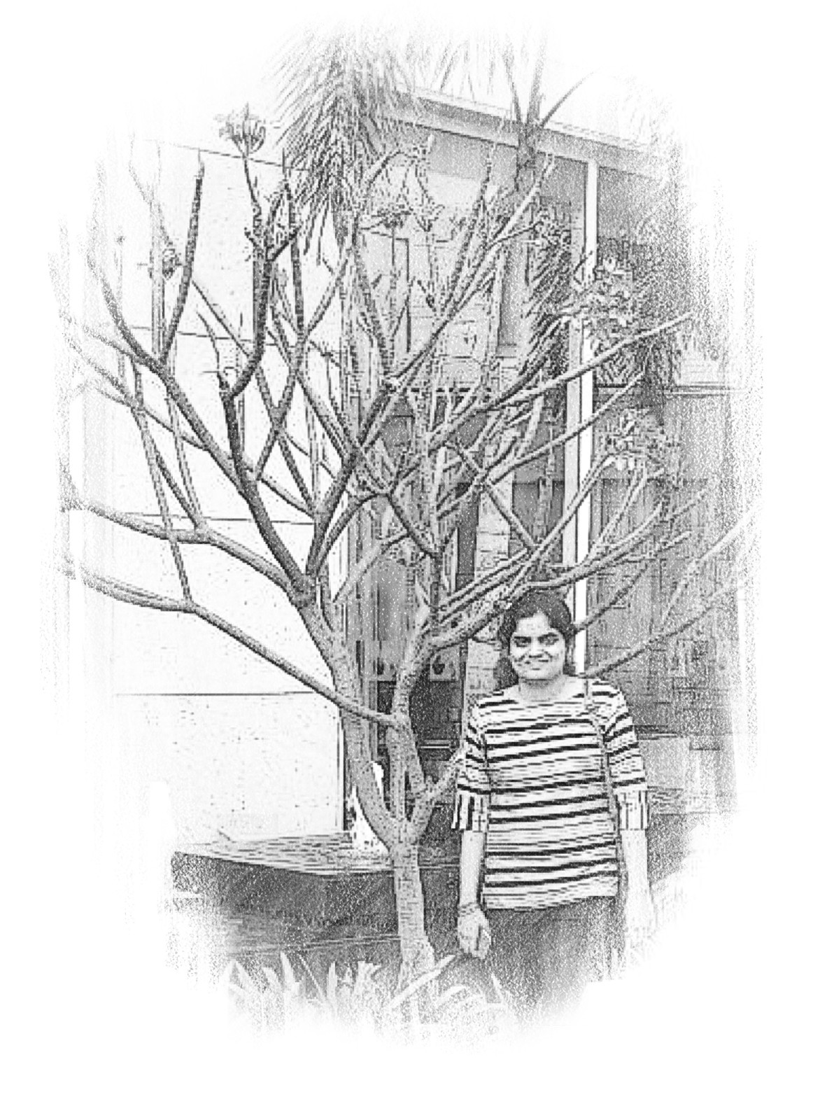 About Photo